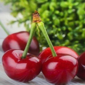 Meet your Posher, Derrick